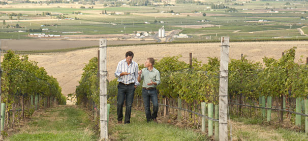 Drew Bledsoe Continues A Long Tradition Of Football Wineries