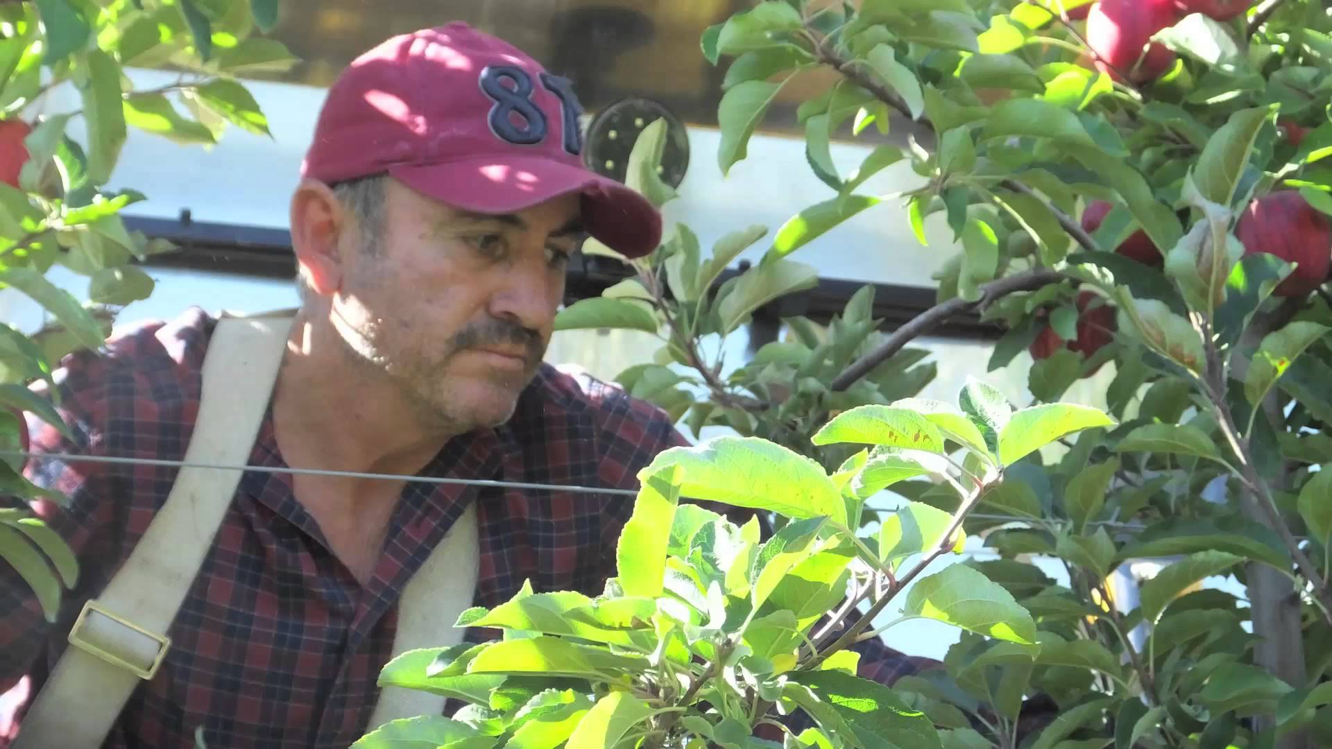 Is it time for Immigration Reform? — FGNtv Fruit Growers News