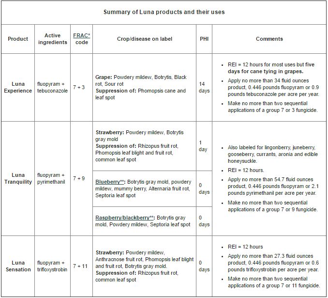 Luna fungicide labels changed for grapes and berry crops - Fruit ...