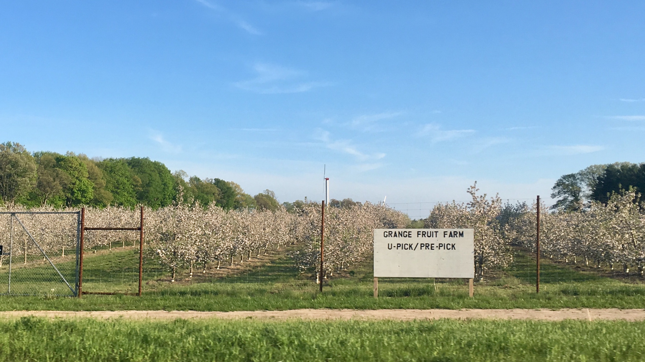 Cool springs set well with fruit tree growers Fruit Growers News