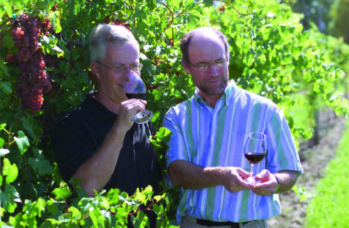 Cold-climate growers having luck with hybrid variety - Fruit Growers News