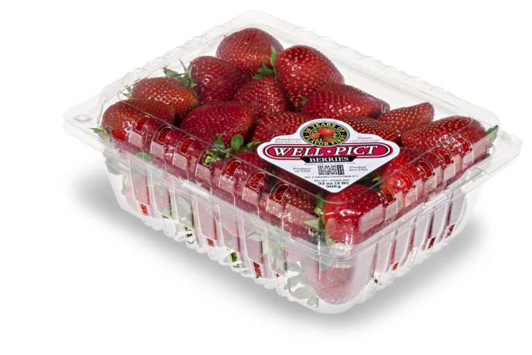 WellPict debuts diseaseresistant strawberry varieties Fruit Growers