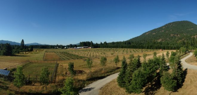 A view of the University of Idaho’s Sandpoint Organic Agriculture Center. The university acquired the property in August 2018. Photos: Kyle Nagy and Bill Loftus/University of Idaho