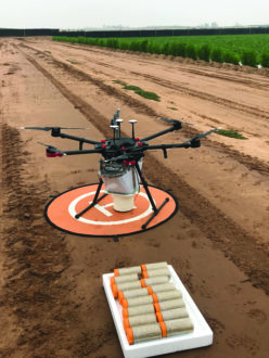 Drone and beneficials