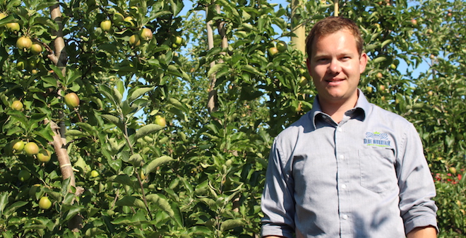 Washington's organic apple acreage grew 37 percent - Good Fruit Grower