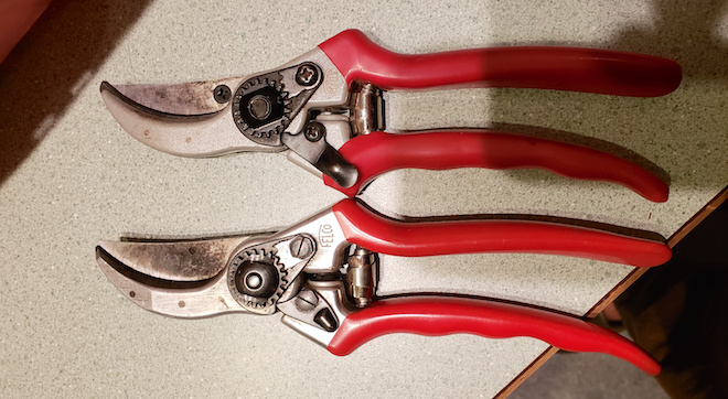 Pruner maker points to counterfeits sold online - Fruit Growers News