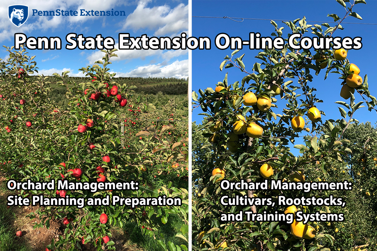 penn-state-extension-offers-self-paced-courses-on-planning-establishing-orchards-fruit