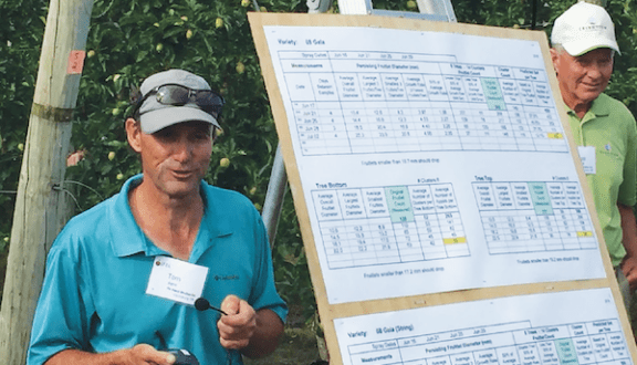Ontario apple grower Tom Ferri explains the summary cropload management datasheet developed by his brother, Joe.