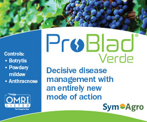 Sym-Agro ProBlad Verde