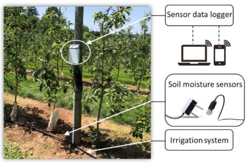 Illustration of soil moisture sensor-based irrigation system