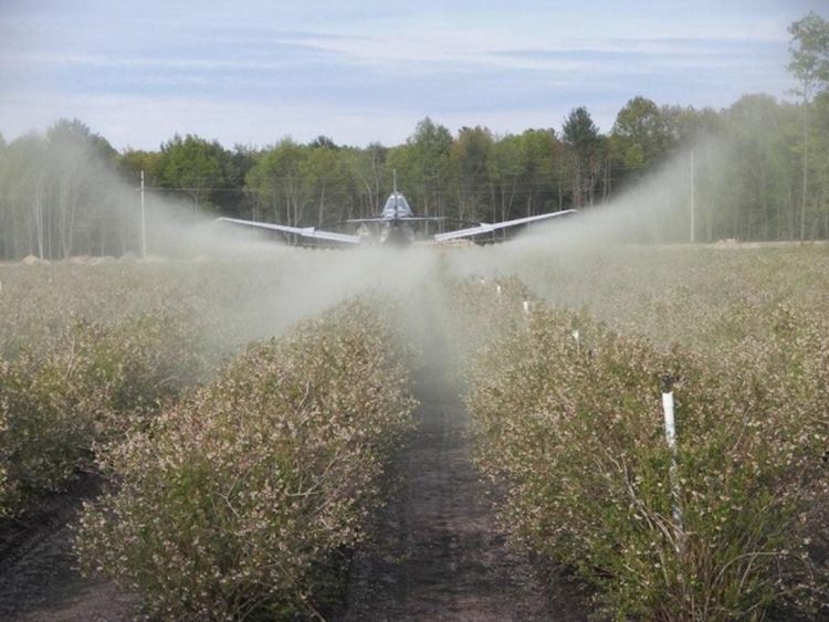 Weather conditions favorable for SWD spray applications in Michigan