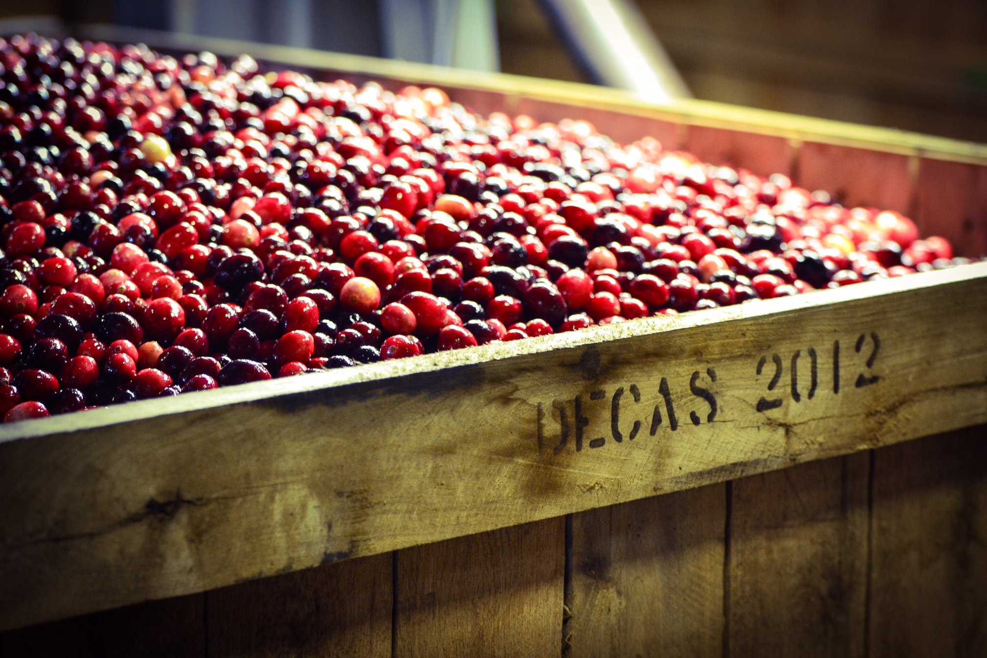 Cranberry Marketing Committee applauds USUK tariff agreement Fruit Growers News