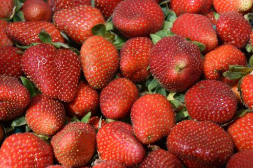 strawberries in basket