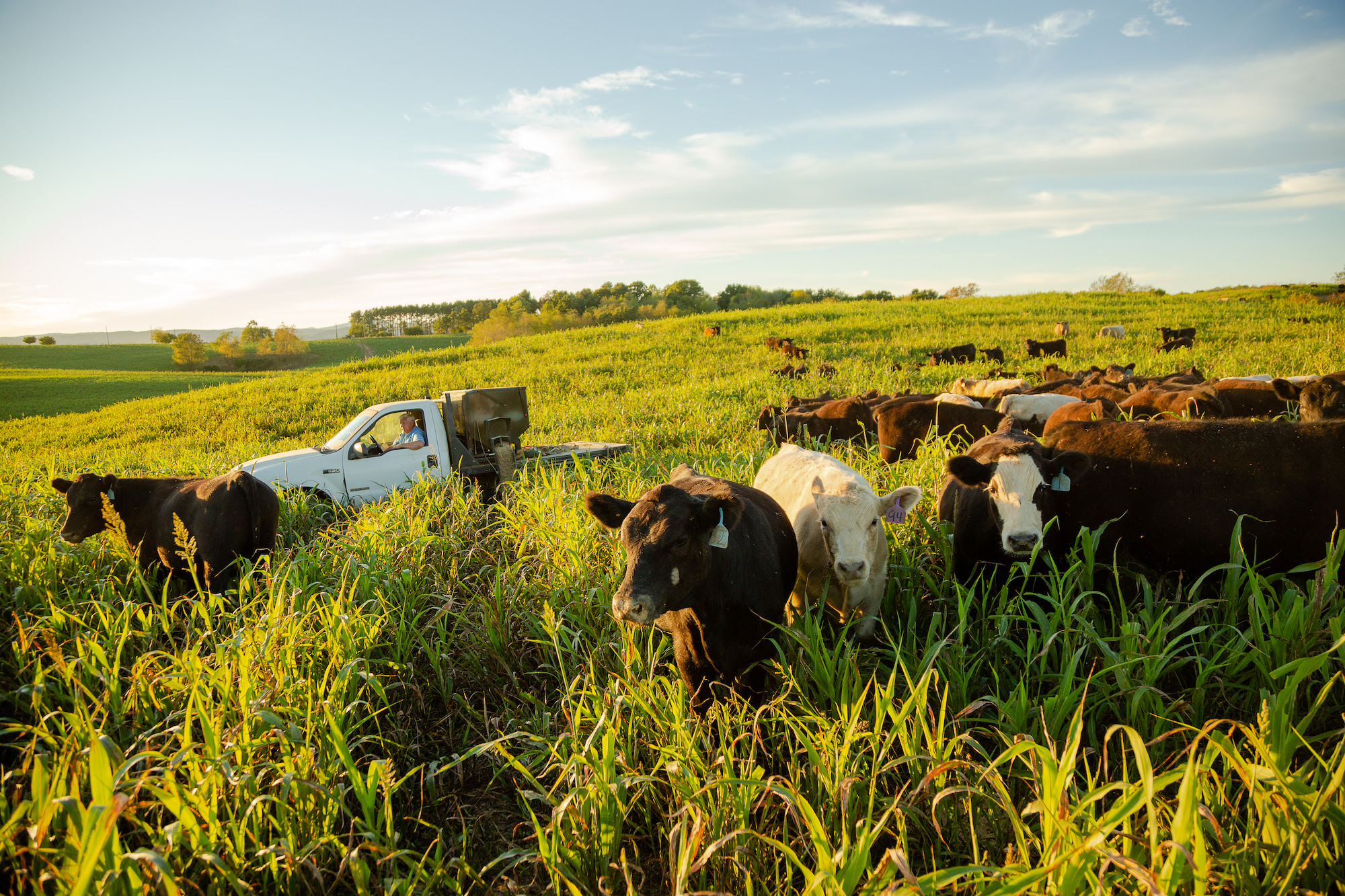 Virginia farm conservation practices survey to highlight farmer efforts