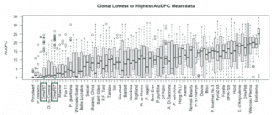 boxplot of average AUDPC scores