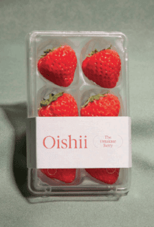 Oishii tray