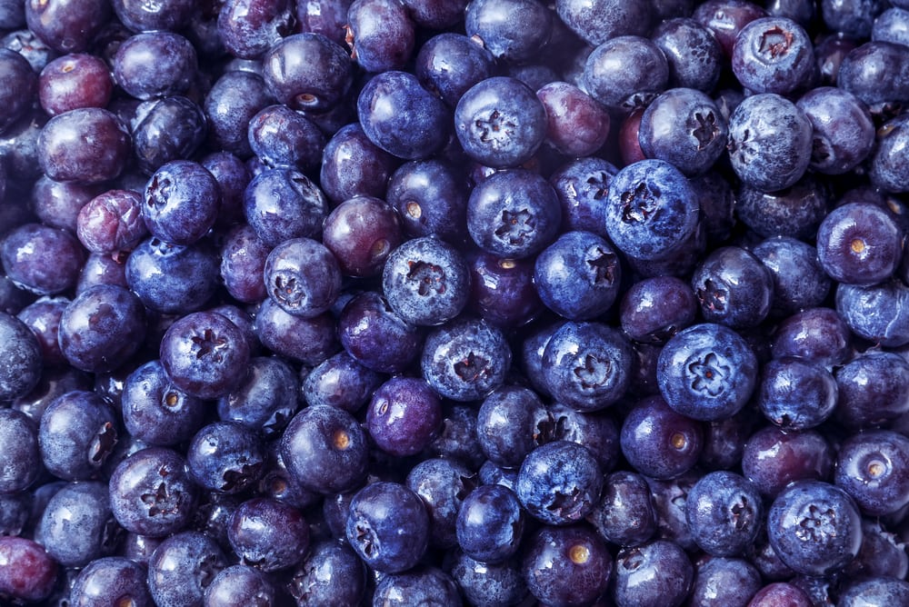 Blueberries! 