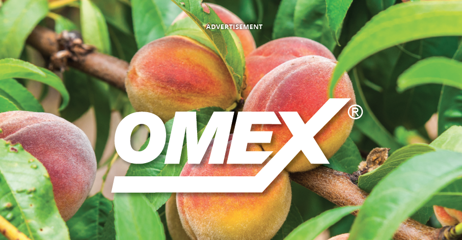 OMEX printed in white over top of peaches