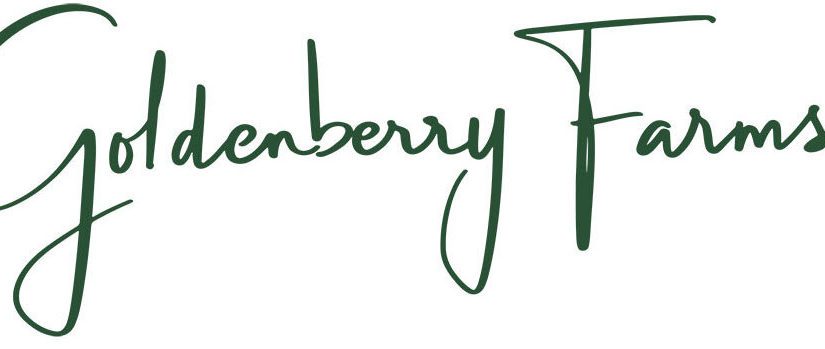 Goldenberry Farms exporting new goldenberries to Canada - Fruit Growers ...