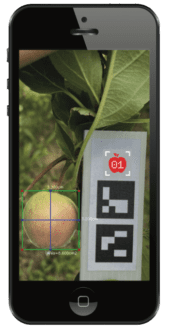 The FruitScout app takes a picture of a tree