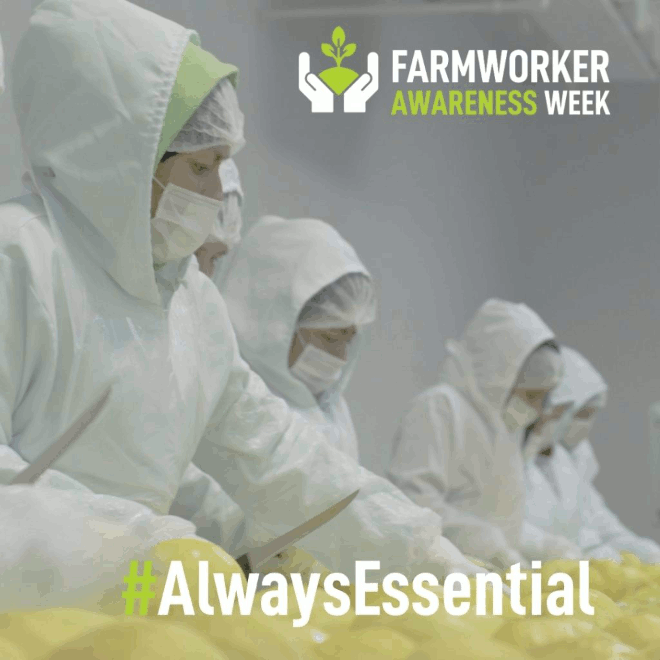 Farmworker Awareness Week drives increasing attention Fruit Growers News