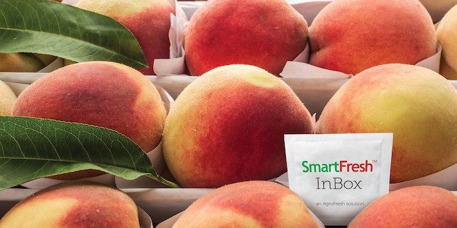 A SmartFresh InBox sachet in a box of peaches.