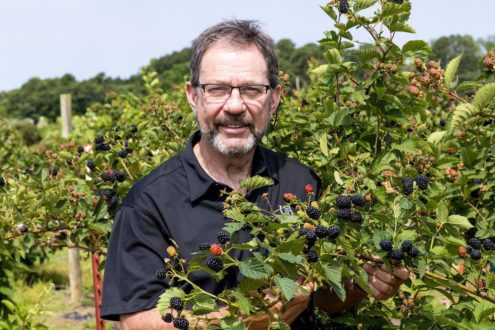 The American Pomological Society has recognized Arkansas fruit breeder John Clark for his breeding efforts.