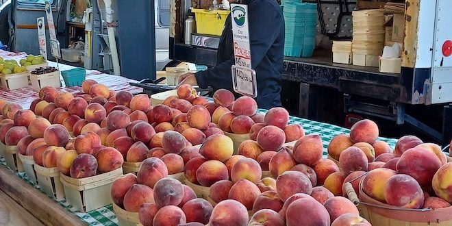 peaches at farm market