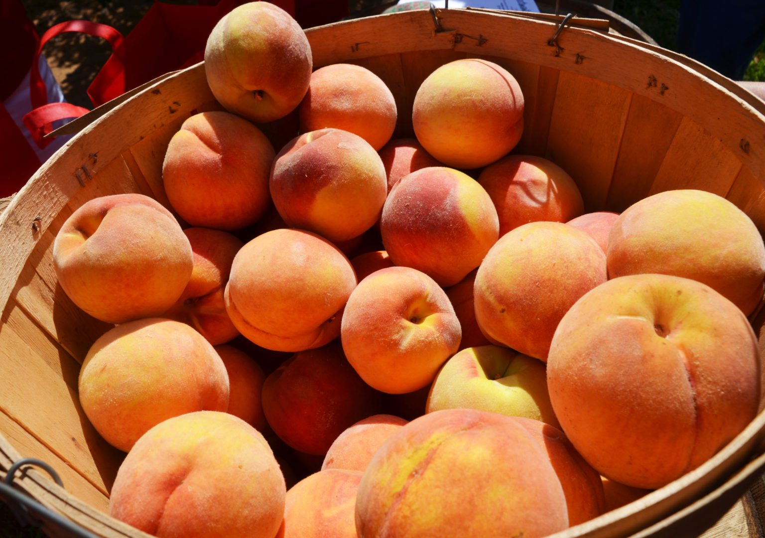 It's peaches on beaches in NJ for 'Eat a Peach Day' Fruit Growers News