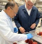 Hong Zhu, Bioconsortia head of research and development, with CEO Marcus Meadows-Smith discussing GARNET's efficacy against post-harvest pathogens on apples. 