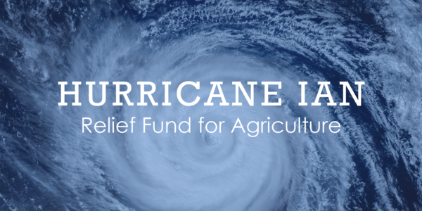 Florida grower hurricane relief fund started - Fruit Growers News