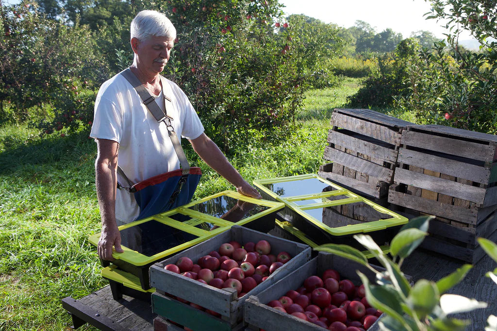 This Solar-Powered Dehydrator Could Help Small Farmers Reduce Food