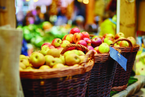 Farm-Market-Survey-apple-basket