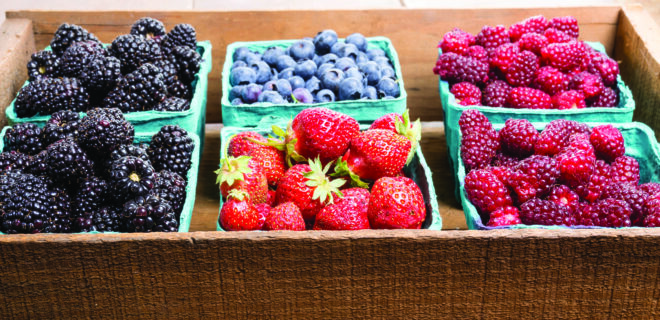 Farm Market Survey Berries