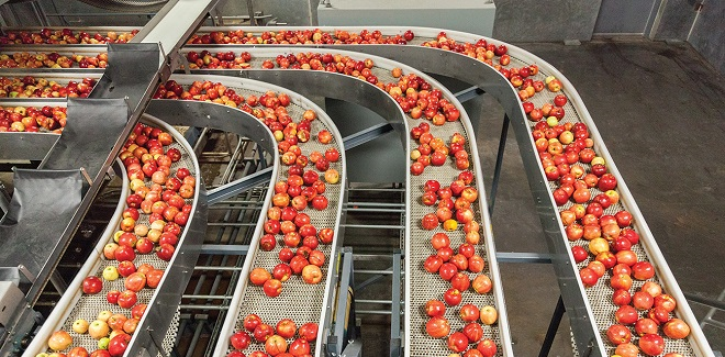 https://fruitgrowersnews.com/wp-content/uploads/2023/06/Apple-lines-food-safety.png