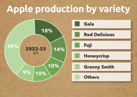 Apple production by variety