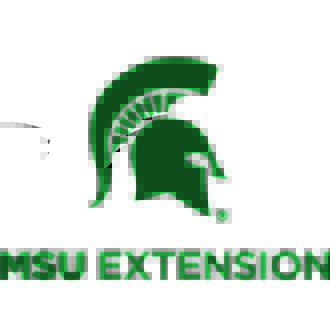 MSU Michigan State Extension