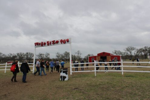 Families at a farm event.