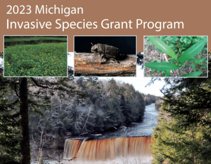 Michigan-Invasive-Species-handbook