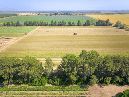 Roughly half of California’s 30 million acres of farmland is protected from development by the California Land Conservation Act of 1965. Photo courtesy of Fred Greaves