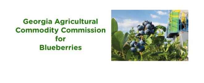 Georgia Agricultural Commodity Commission for Blueberries feature