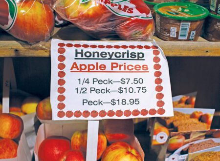 Anderson & Girls Orchards. Photo by Chris Koger.