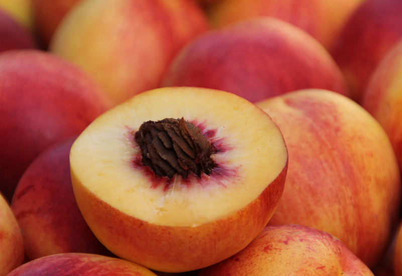 An image of peaches, one sliced open with pit showing.