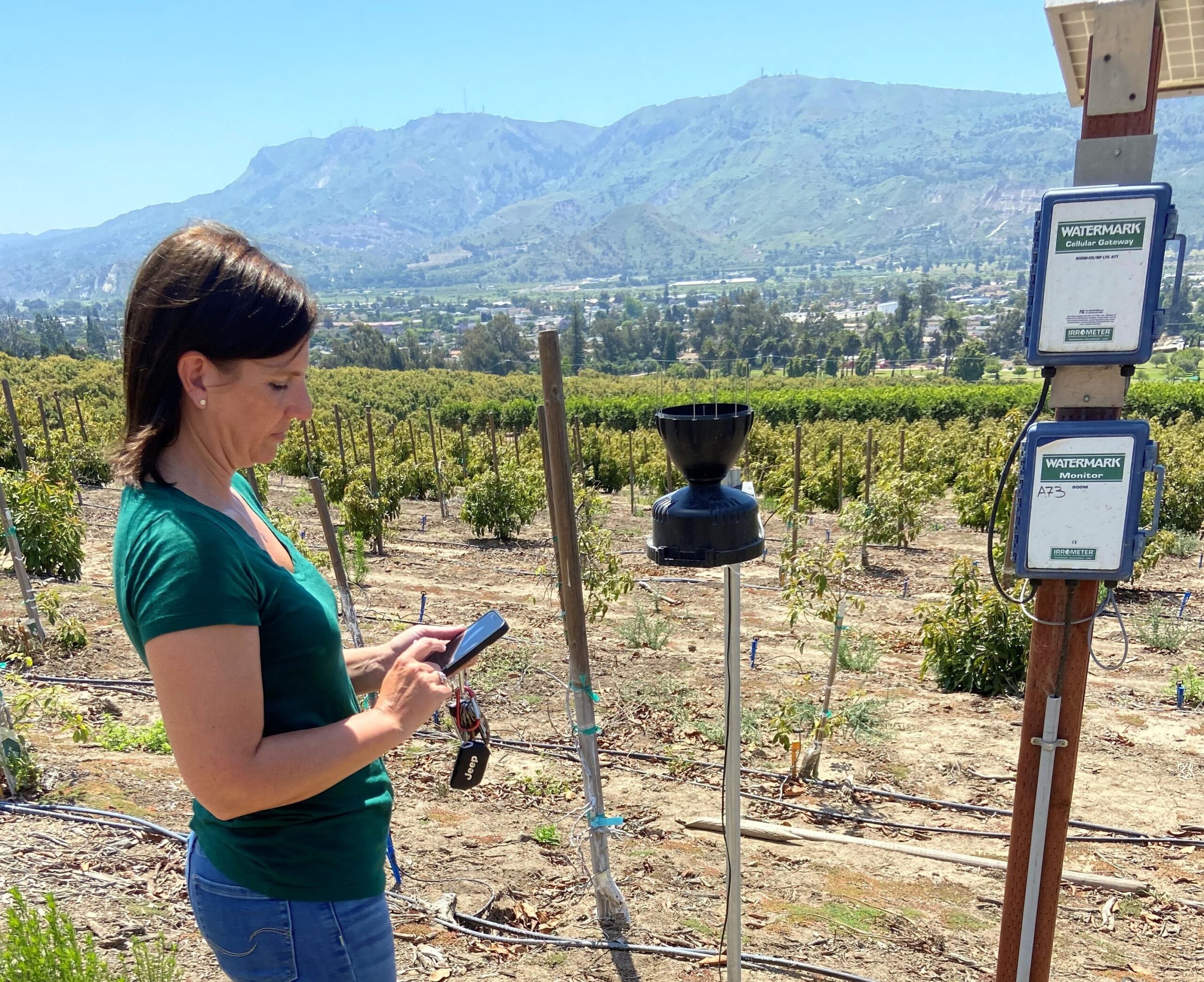 Sensors guide growers on water decisions Fruit Growers News