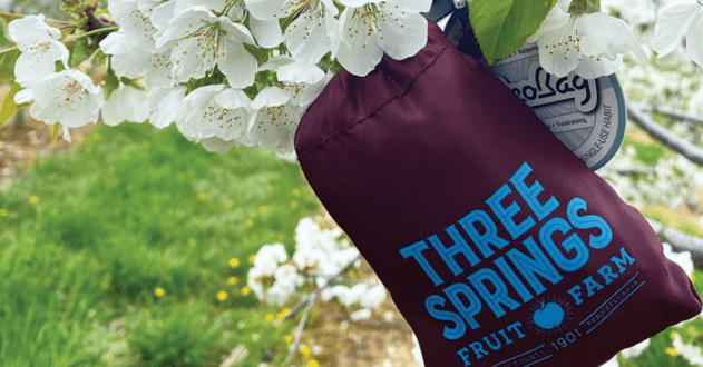 Three Springs Farms bag hanging from a tree with peach flowers in the background