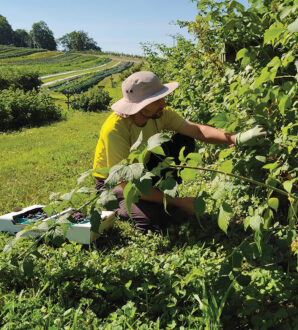 Ben Hendricks of Three Springs Fruit Farm.