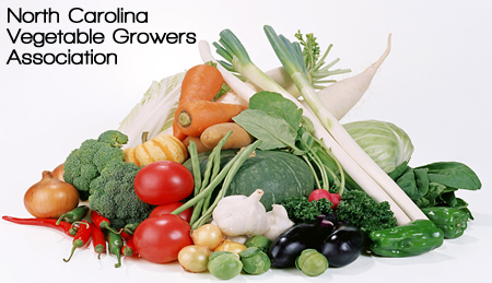 North Carolina Vegetable Growers Association