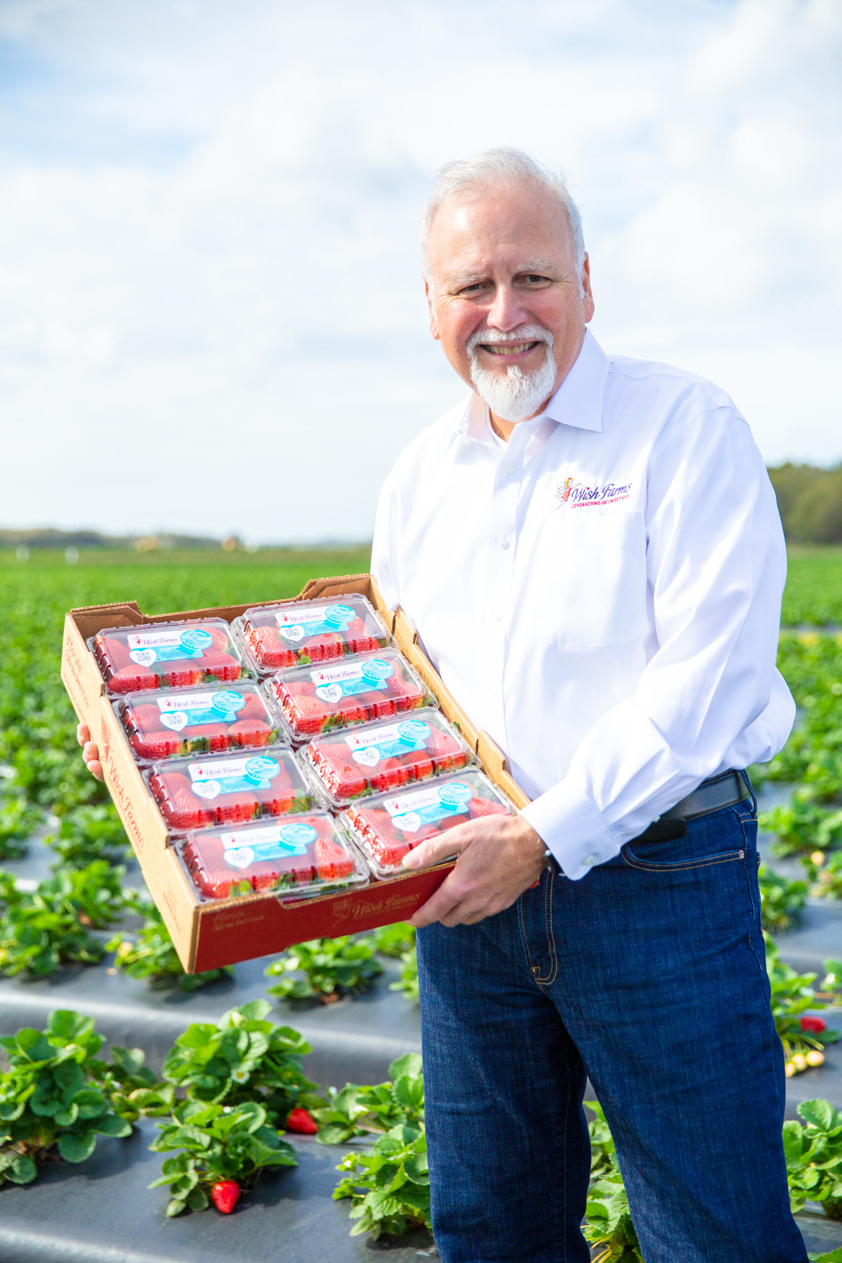 White man holding a crate of packaged strawberries in a field