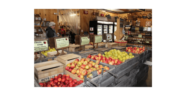 farm market store photo apples in bins