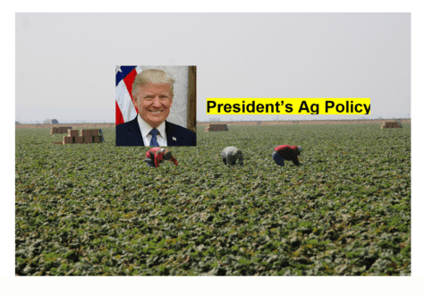 president's ag policy Trump labor regulations